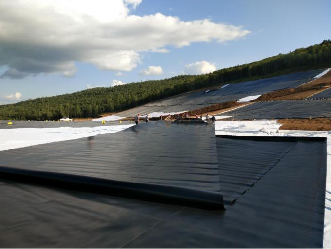 Longueur Exigence du client Geomembrane HDPE imperméable à l'eau pour étang de pisciculture 7