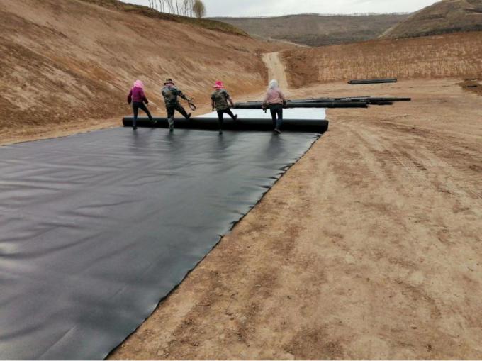 Longueur Exigence du client Geomembrane HDPE imperméable à l'eau pour étang de pisciculture 9