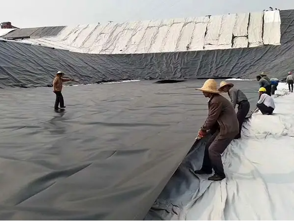 Longueur Exigence du client Geomembrane HDPE imperméable à l'eau pour étang de pisciculture 6