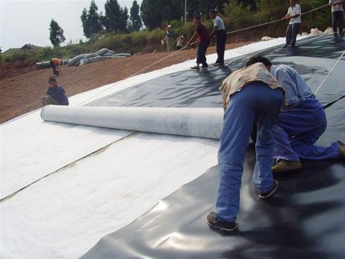 Membrane HDPE de 2 mm personnalisée pour les étangs ASTM GM Standard et film imperméable texturé 9